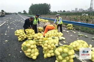 河南网红吃瓜事件,揭秘网络舆论的风暴与真相