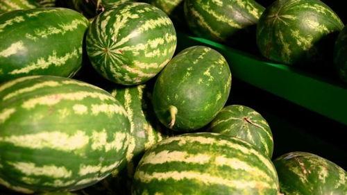 出租房网红吃瓜事件,揭秘背后真相与网络舆论风暴