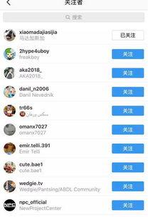 吃瓜视频网红网站,热门话题背后的网络现象