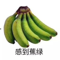 网红吃瓜群微信黄,微信黄生背后的故事