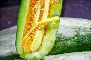 网红记录吃瓜,揭秘娱乐圈幕后故事