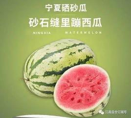 快乐吃瓜军网红康欣,快乐吃瓜军领军人物，揭秘娱乐圈幕后故事