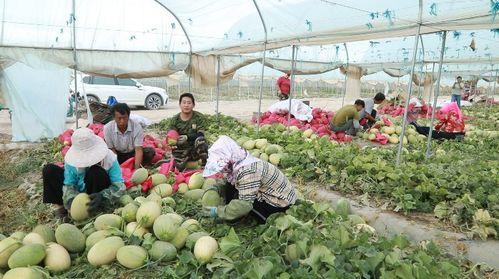 永年网吃瓜事件最新进展